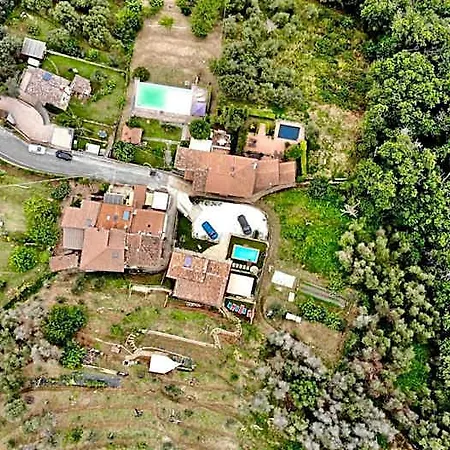 Il Volo Bed & Breakfast Camaiore