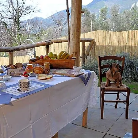 Il Volo Bed & Breakfast Camaiore