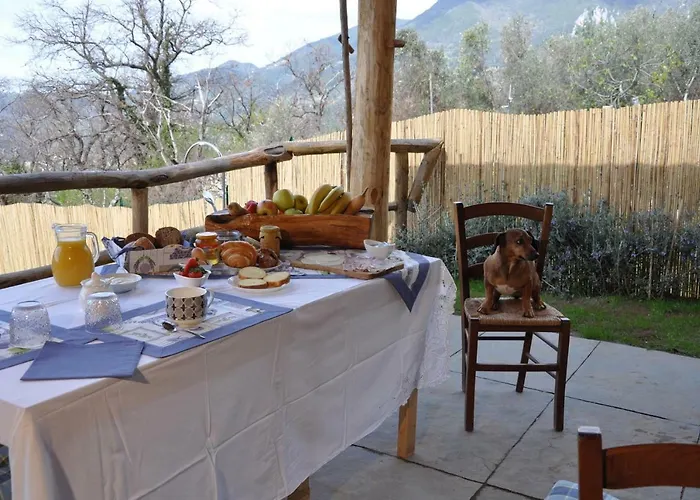 Frühstückspension Il Volo Camaiore