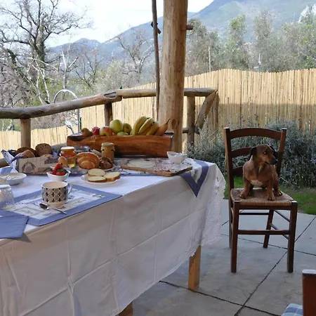 Bed & Breakfast Il Volo Camaiore